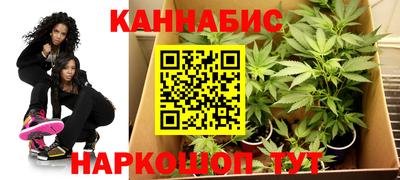 ешки Будённовск